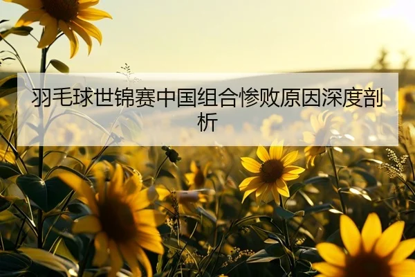 羽毛球世锦赛中国组合惨败原因深度剖析