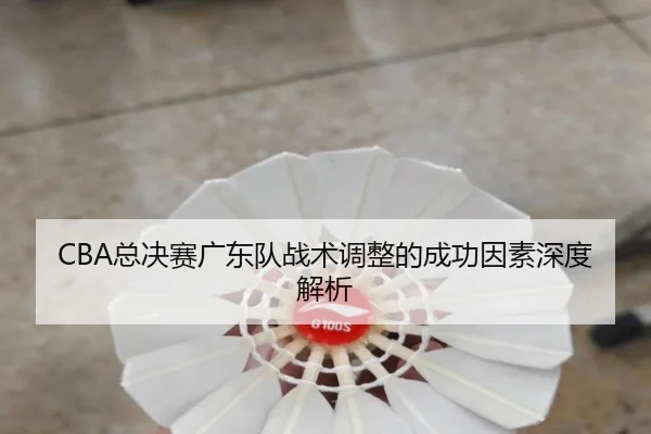 CBA总决赛广东队战术调整的成功因素深度解析