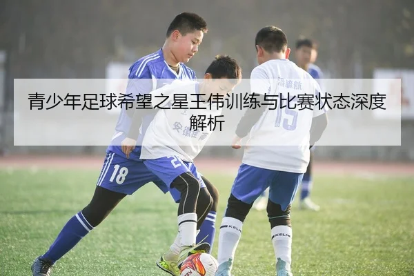 青少年足球希望之星王伟训练与比赛状态深度解析